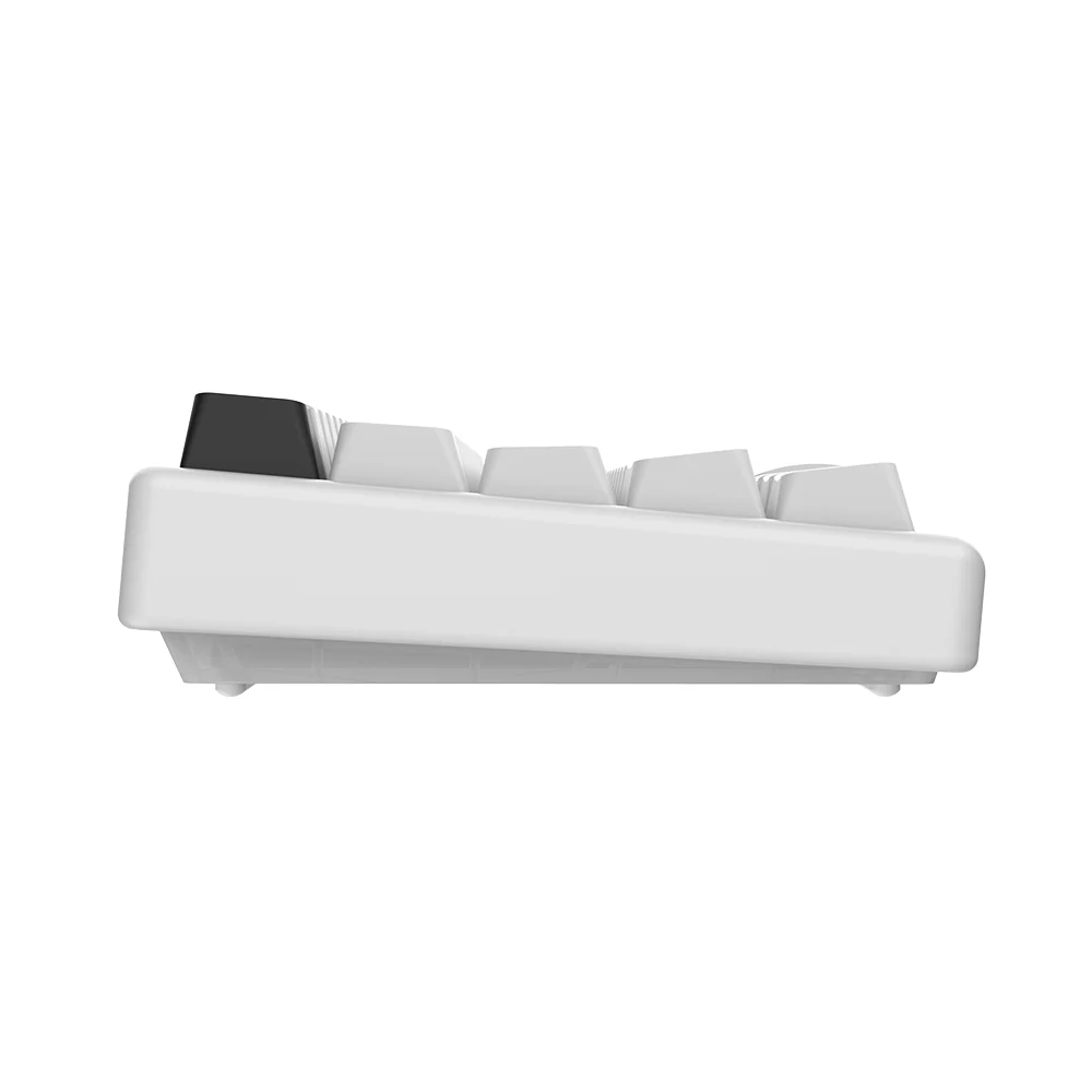 Arbiter Studio Polar 65 Pro Keyboard Kitsune White Frame - Image 3