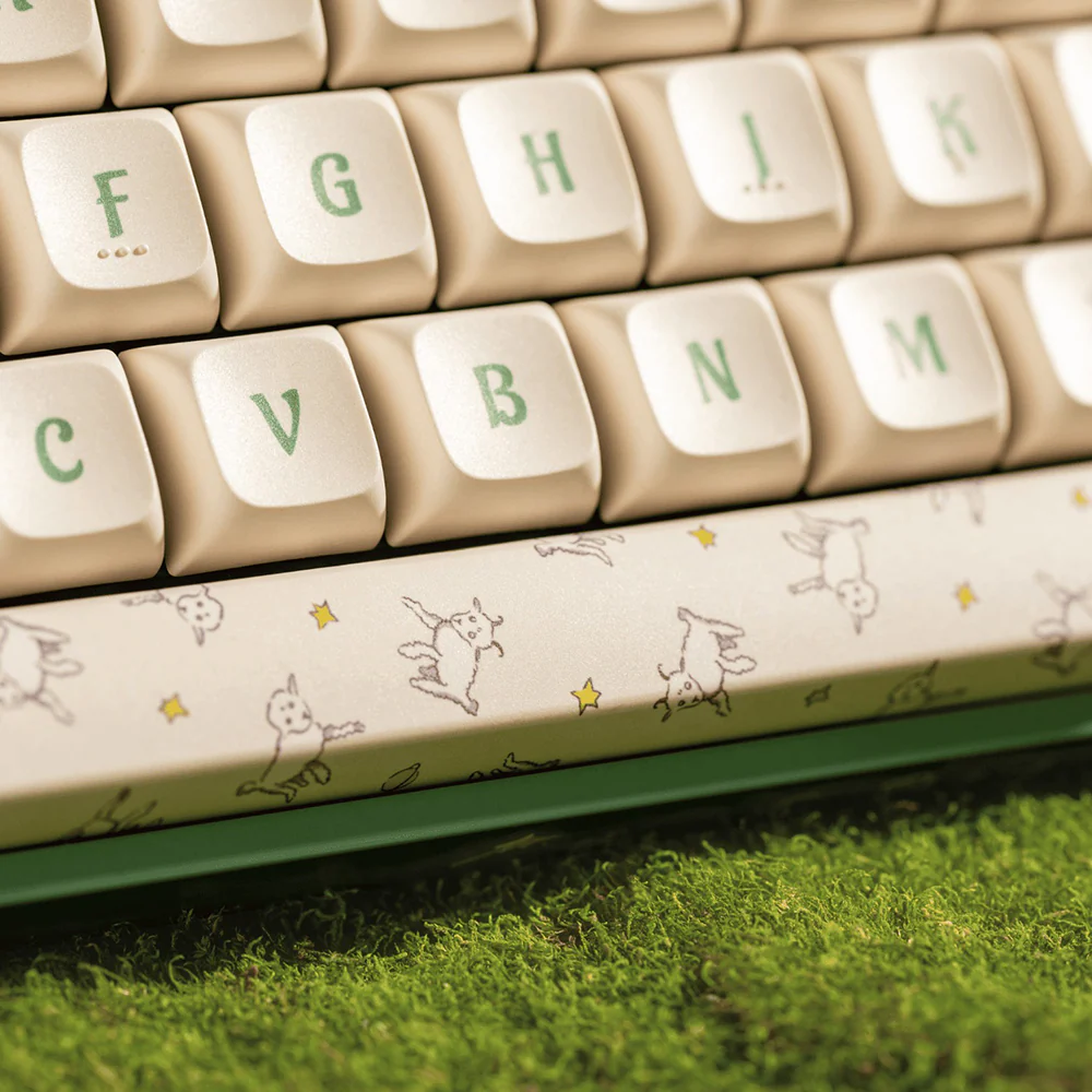 iQunix x Little Prince F97 Wireless Mechanical Keyboard Floral Date - Image 5